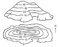 5) How is elevation shown on a map? Contour lines that are in the shape of circles indicate a hill or mountain peak.