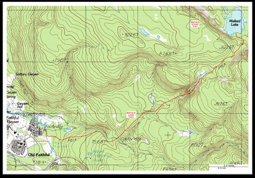 Topographic Map The feature that most distinguishes topographic maps from maps of