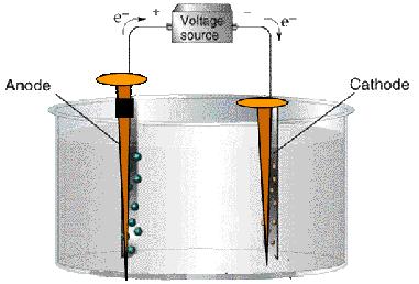 Electrolysis with non-inert Electrode What is the reaction in an electrolysis reaction of NaCl with iron nails Specie Ions.