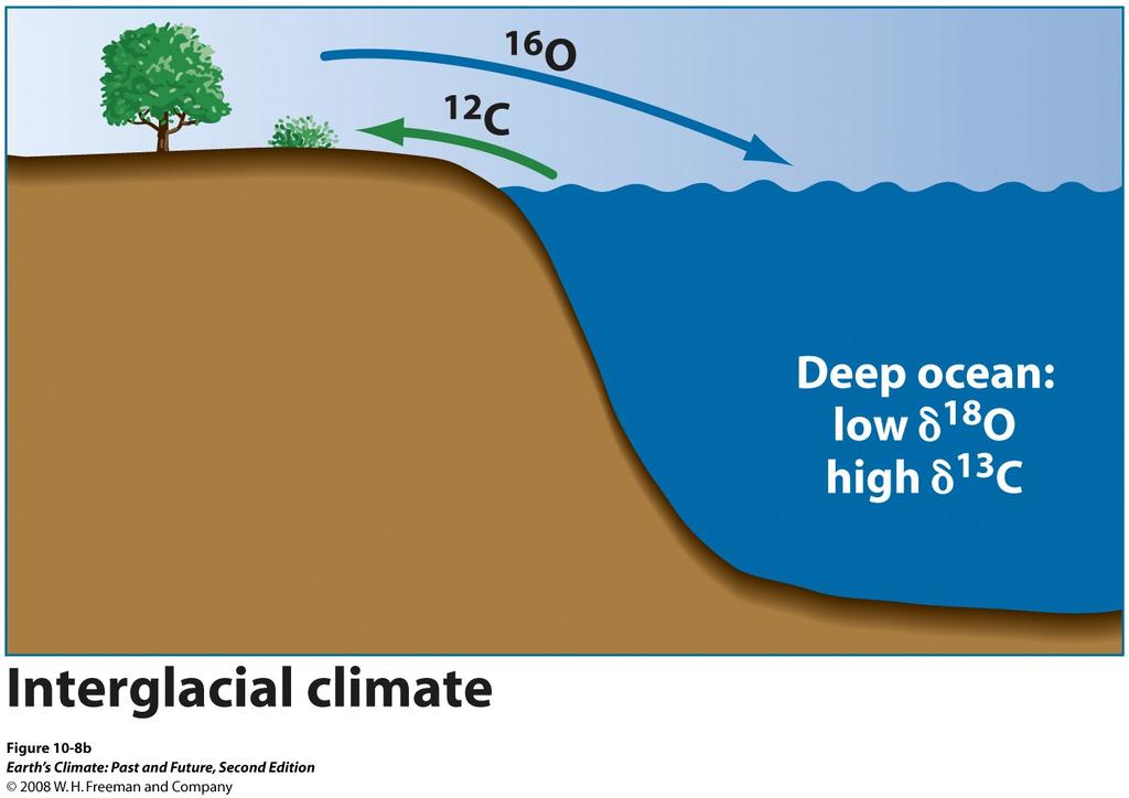 terrestrial carbon- 12 Oceans become