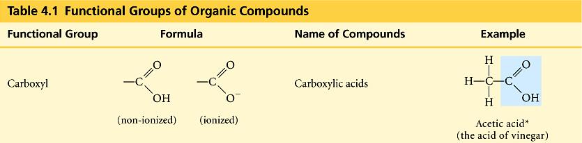 Name: carboxylic acids (or organic acids) Example: acetic acid, fatty acids, amino acids ompounds are acids and typically end