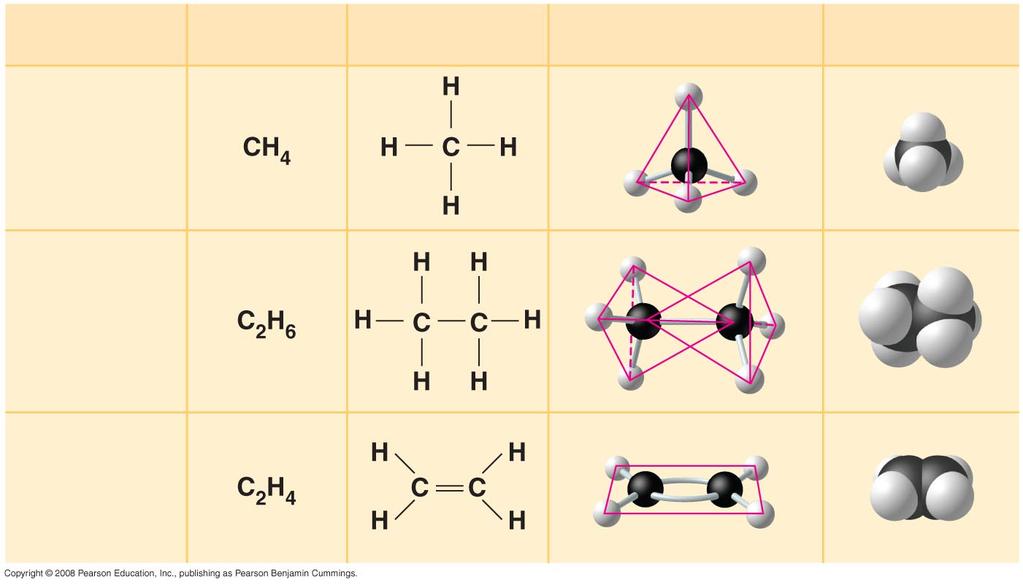complex molecules possible Carbon chains each carbon bonded to four other atoms When using single bonds Results in tetrahedral shape two double bonded