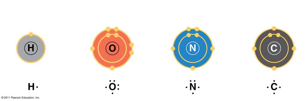 The electron configuration of carbon gives it covalent compatibility with many different elements The valences of carbon and its most frequent partners (hydrogen, oxygen, and nitrogen) are the