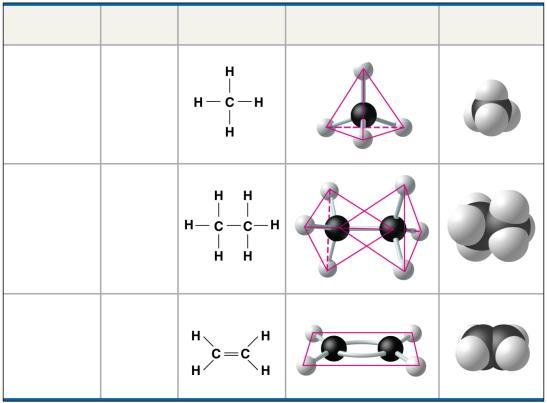 2: Carbon atoms can form diverse molecules by bonding to four other atoms Electron configuration is the key to an atom s characteristics Electron configuration determines the kinds and number of