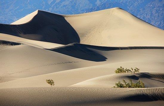 Mesquite Flat Dunes in Death Valley National Park in Death