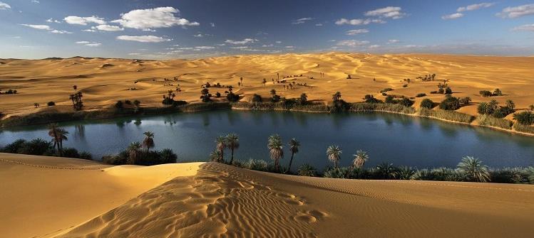 oasis an isolated area of vegetation in a