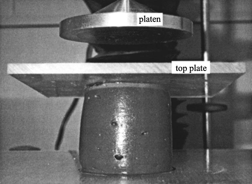 INCIPIENT FAILURE OF YIELD STRESS MATERIALS 1323 FIG. 5. Cylinder of slurry sample D ready for incipient failure compression.