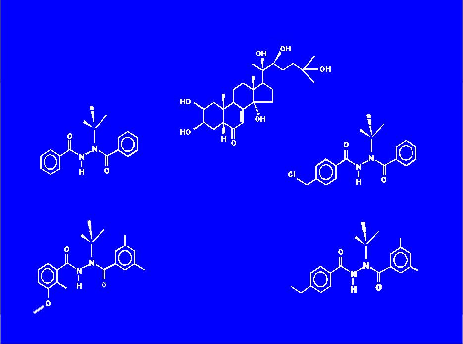 20-Hydroxyecdysone and Ecdysone Agonists 20-hydroxyecdysone RH-5849 (original analog) RH-0345