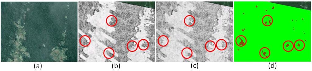 Figure 6: (a): Optical image acquired by the Landsat sensor in the 1970's over a region located in the Amazon rainforest.