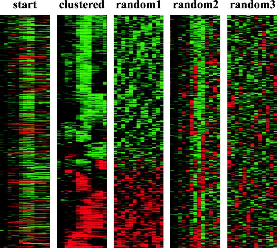 Clustering Random vs Biological Data Challenge when is