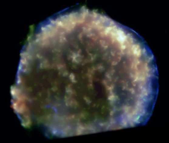 remnant in X-rays Tycho can