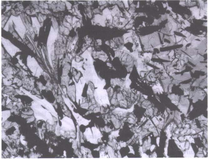 Figure 3: Photomicrograph of thin section of (from Neal and Taylor 1993). Field of view is 2.5 mm. Armalcolite: Dymek et al.