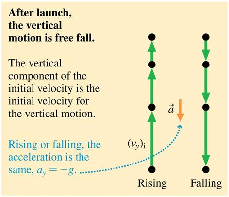 Analyzing Projectile Motion The ball finishes its motion moving downward at the same speed as it started moving upward.
