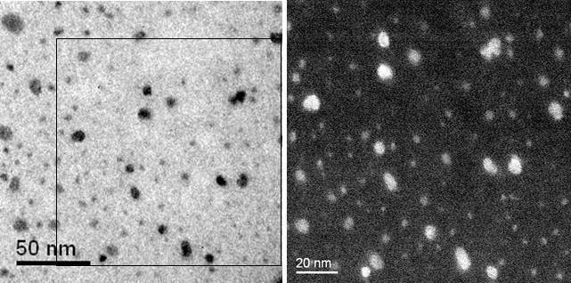 Height (nm) Figure 34: Conventional TEM (left) and STEM micrographs (right) of Au 0.5 Fe 0.5 nanoparticles from a sample provided by Dr. Roldan of UCF s Physics Department [96].
