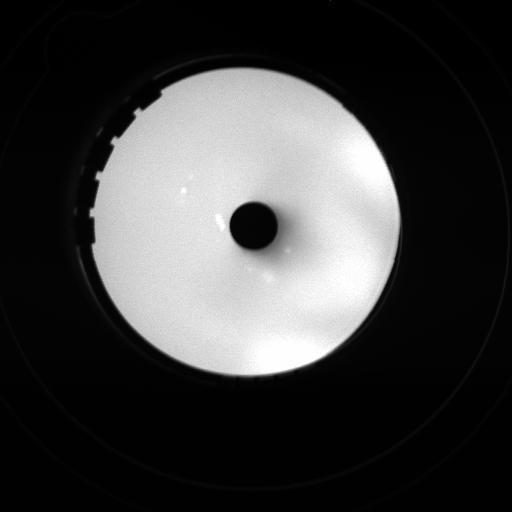 Figure 7: Electron image of the Fischione HAADF detector.