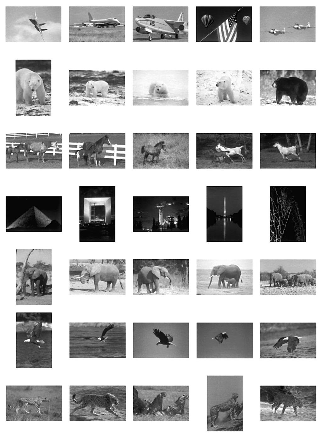 Application: Histogram-based Image Classification Multiclass: air shows, bears, Arabian horses, night scenes, and several 1058 more classes not shown