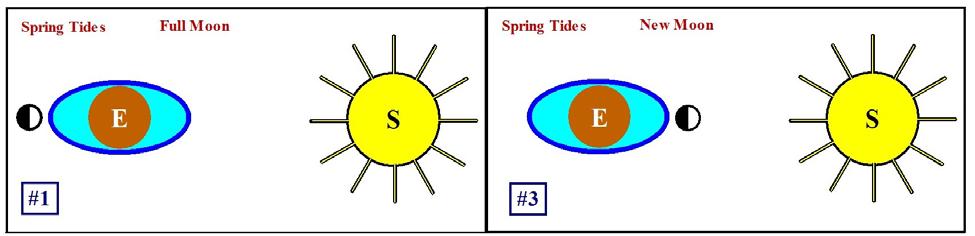 T. James Noyes, ECC Tides Unit II: The Bulge Theory of the Tides (Topic 7A-2) page 10 Spring Tides and Neap Tides Recall that spring tide conditions are when the tidal range is large (high tides are