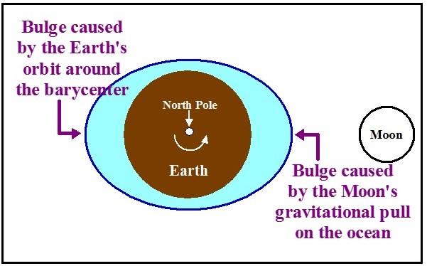 T. James Noyes, ECC Tides Unit II: The Bulge Theory of the Tides (Topic 7A-2) page 8 Two Bulges: Putting it all together Someone who has been paying attention will say: Wait a minute, don t the two
