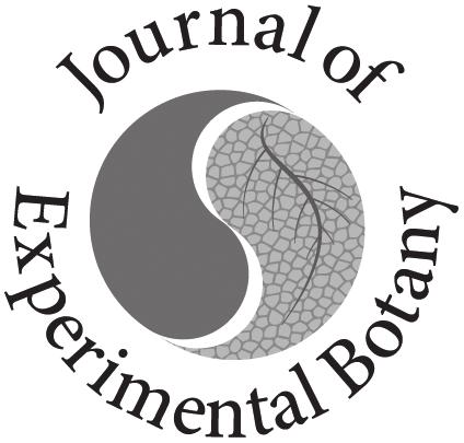 Journal of Experimental Botany, Vol. 67, No. 3 pp. 681 693, 2016 doi:10.