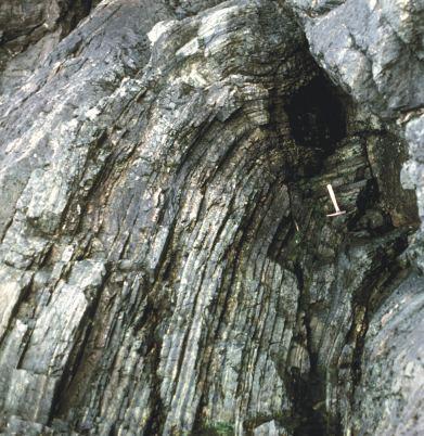 steepened or folded thrust (Dean and Strong, 1977). This fault is probably a deep-seated structure as it brings ultramafic rocks against the Cutwell Group (Kean, 1973; Szybinski, 1988). Szybinski (op.