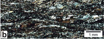 (c) Microstructure of a granitic orthogneiss from the Seckau basement, immediately beneath the contact to the Rannach-Fomation.