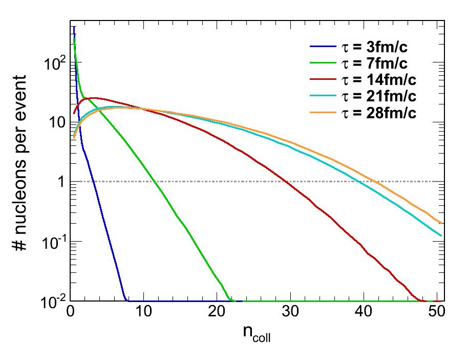 Local thermalization Momentum distributions of nucleons (n coll 3) & evolution of n