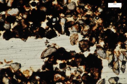 Photomicrographs of thin sections obtained, under transmitted