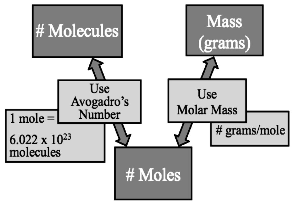 Mass-Mole-Molecules Conversions Note that, as in the case of atoms, the molar