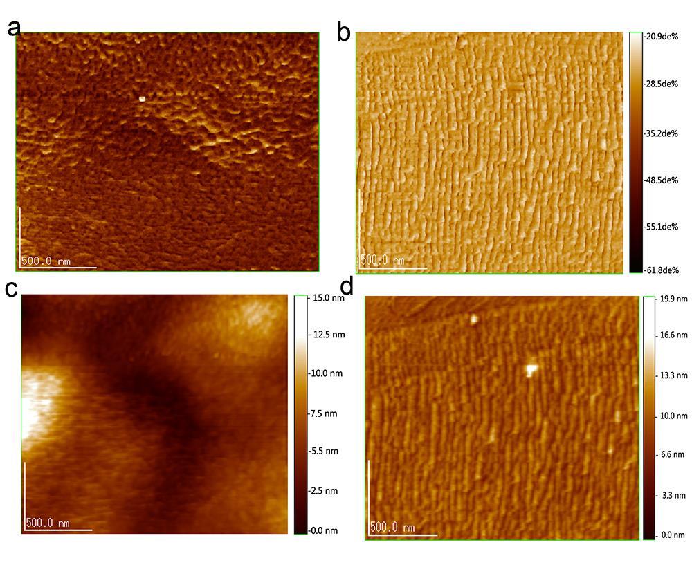 Supplementary Figure 12. Morphology of PCBM and G-PCBM films measured by atomic force microscopy (AFM).