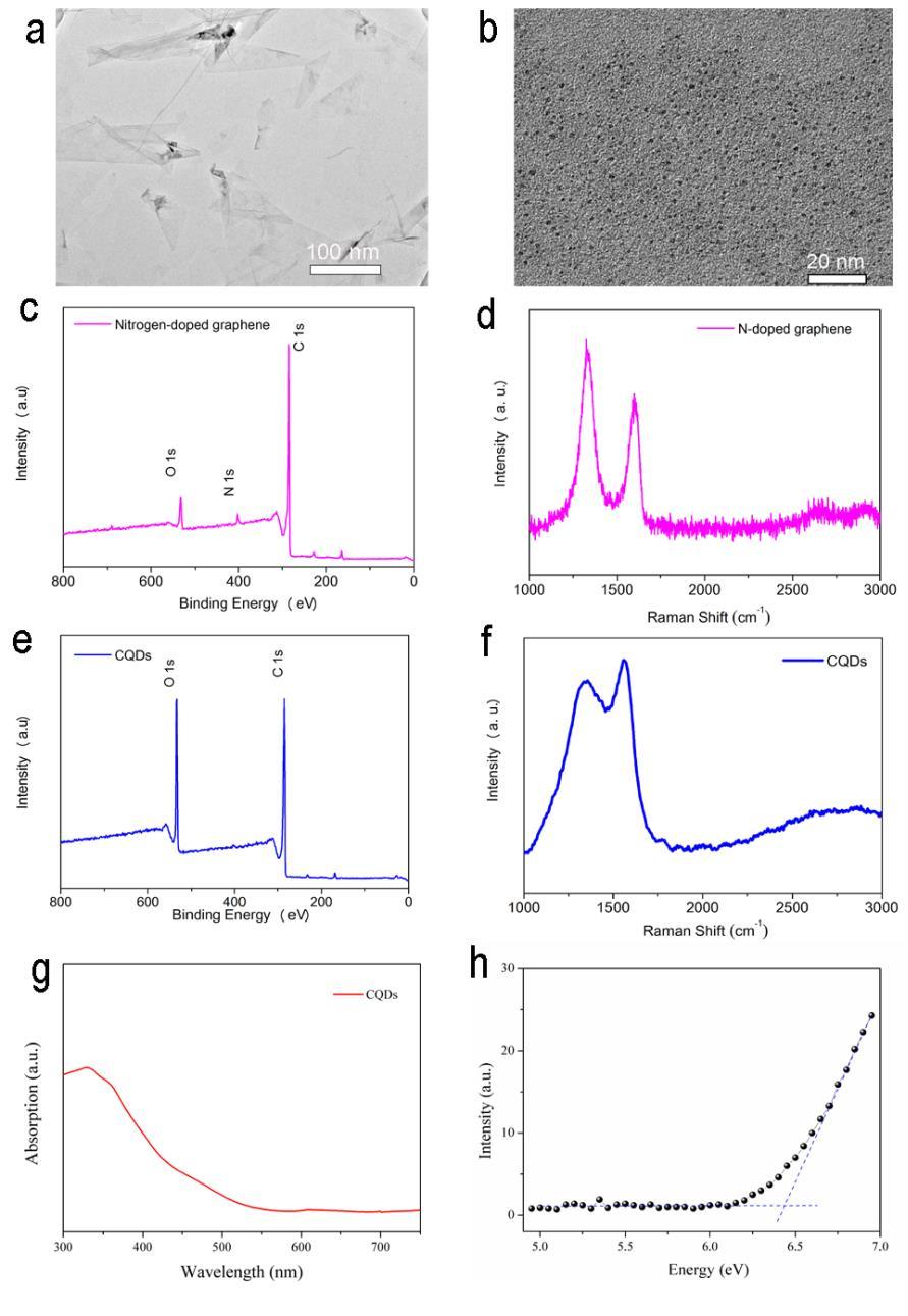 Supplementary Figure 1. Characterization of nanostructured carbon derivatives.
