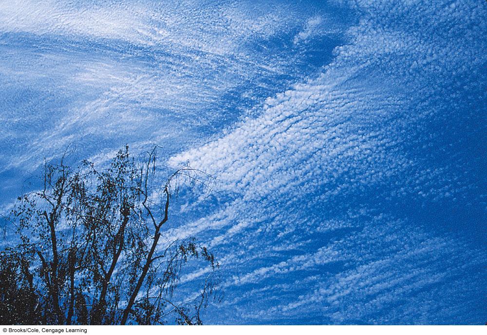 2/10/11 Cirrocumulus High Clouds Cirrostratus High cotton puffs Rippling