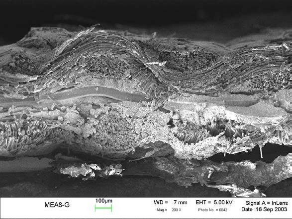 Appendix C: SEM images The microstructure of the test MEA was imaged using a scanning electron microscope (SEM).