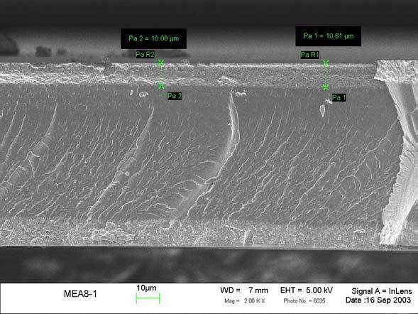 Figure C2 SEM image of the MEA before testing.