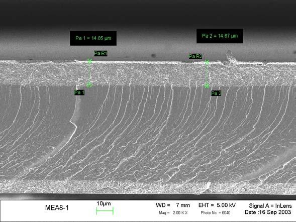 Figure C4 SEM image of the MEA before testing.