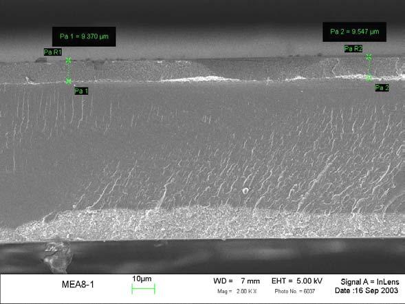 Figure C6 SEM image of the MEA before testing.