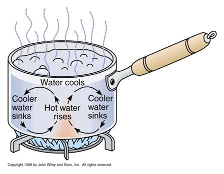 II. CONVECTION: a. Only occurs in LIQUIDS and GASES b. Caused by differences in densities, which are caused by differences in temperatures. i. Hotter=less dense Colder = more dense C.