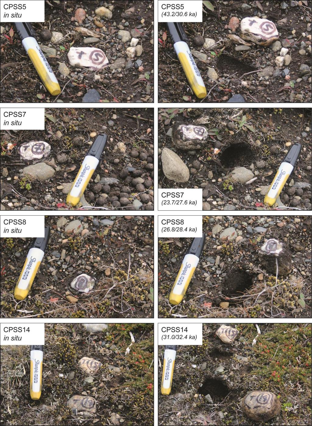 Figure 5.10. Pictures of the surface cobble samples from the Cullen profile before (left) and after sampling (right).