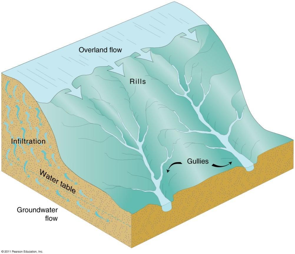 58 Sources Groundwater Overland flow Drainage basin: Area drained by a river and its tributaries