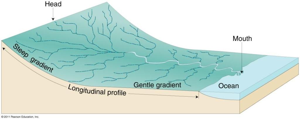 62 Stream Gradient Changes in gradient Steeper in upper reaches more erosion