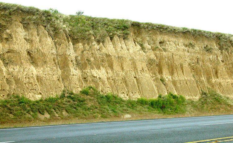 Two common types of wind-blown deposits are dunes, piles of wind blown sand and