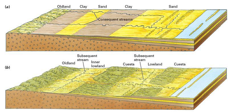 Landforms of Horizontal Strata and Coastal Plains coastal plains are found along passive continental margins consequent