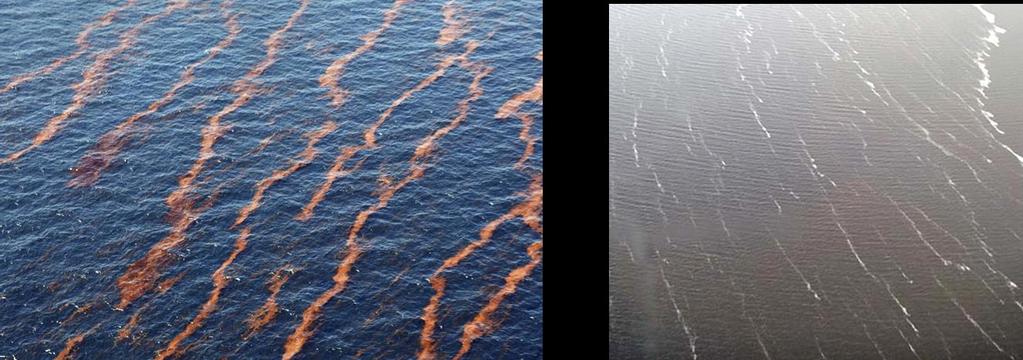 Langmuir circulation can be seen on the sea surface due to collection of flotsam or foam from breaking waves in convergence zones. In Figure 2, Langmuir cells are visualized by an oil spill (Fig.