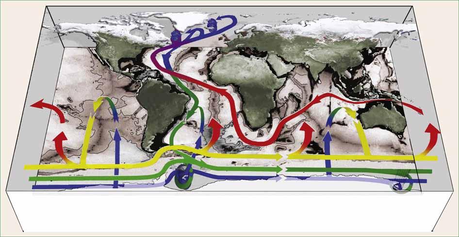 Global overturning circulation schematics 4 layer circulation Dense water formation in Southern Ocean and northern North Atlantic Deep water formation in Indian and Pacific through upwelling; return