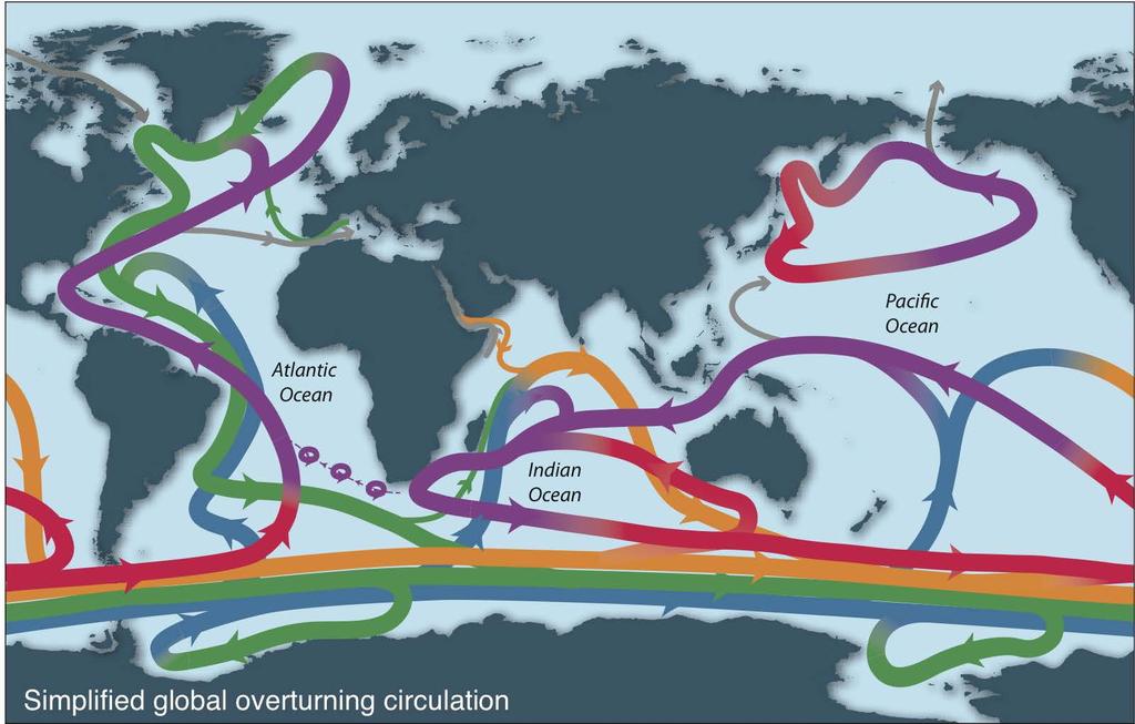 Global overturning circulation schematics 4 layer circulation Same basics, but a little more complex Additional features: some upwelling to thermocline in Indian and Pacific Other zonal asymmetries: