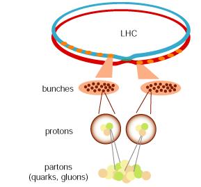Acceleration Process LHC Collisions Electric field strips Hydrogen atoms of electrons Linear accelerator accelerates protons to 50 MeV Synchrotrons accelerate protons to 450 GeV Protons then go to