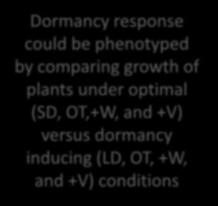 Key factor for dormancy induction Dormancy response could be phenotyped by