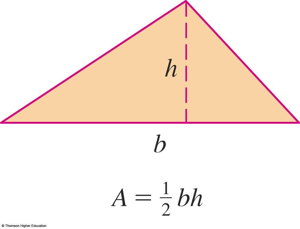 TRIANGLES The area of a triangle