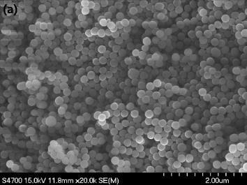 When small amount of ammonia was used, silica nanoparticles could be obtained, whereas nonspherical silica particles were formed for the sample prepared with excess amount of ammonium hydroxide, as