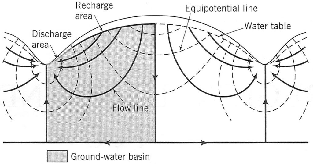 FLOW NETS: EXAMPLES Cross-sectional flow net of a