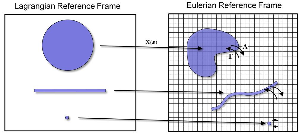 SIMULATION OF COMPLEX FLUIDS AND SOFT MATERIALS USING SELM 3 Fig. 2.1. The description of the fluid-structure system utilizes both Eulerian and Lagrangian reference frames.